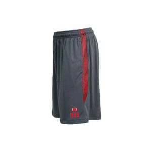 Pennant Men's Blade Shorts