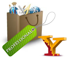 Yahoo Store Professional Package