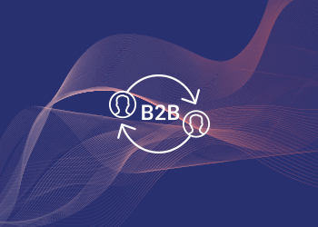 B2B & Wholesale Ecommerce