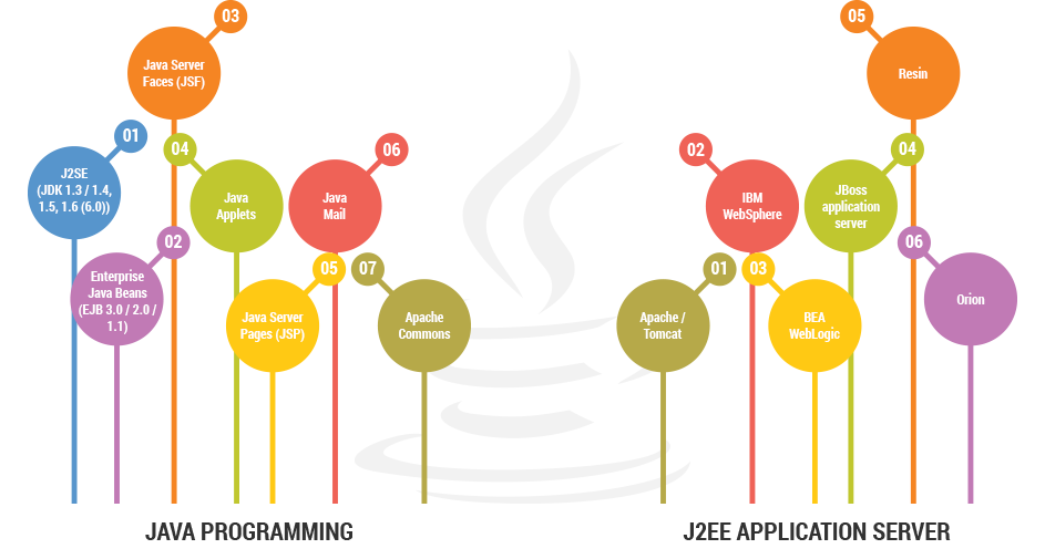 Java Programming & J2EE Application Server