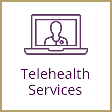 Telehealth services